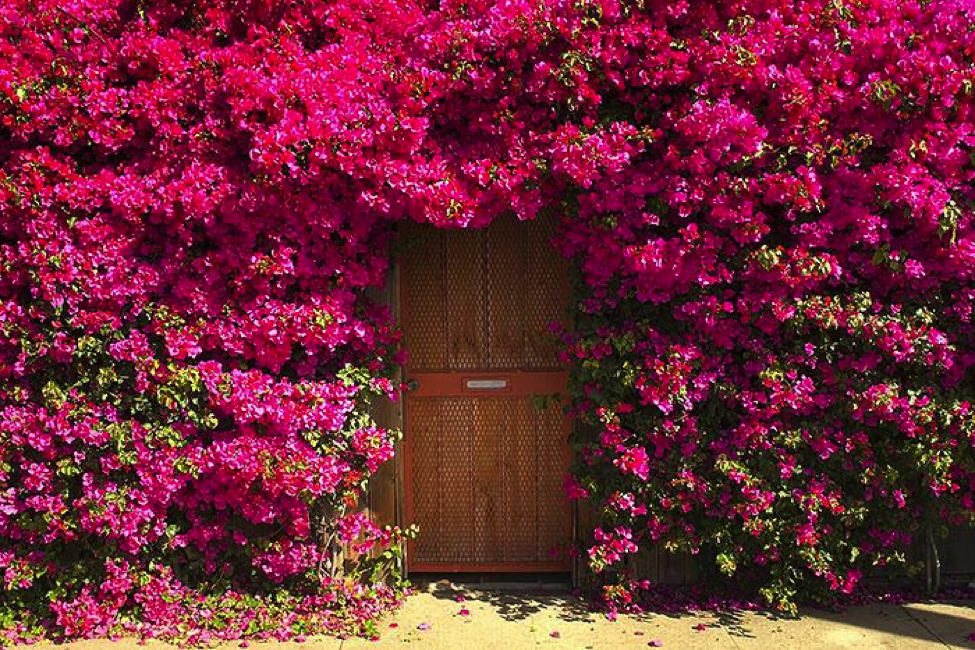 Garden Doors and Garden Patio Doors: What's the Difference? - Simonton Garden Doors and Garden Patio Doors: What's the Difference? - Simonton